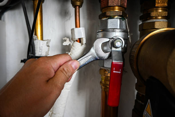 Best Water Heater Repair  in Lake Dunlap, TX